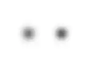 Feedback Loops, sløret prøvevisning